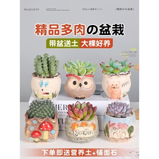 ֲM̨҃k滨ܾGֲСѺB׻