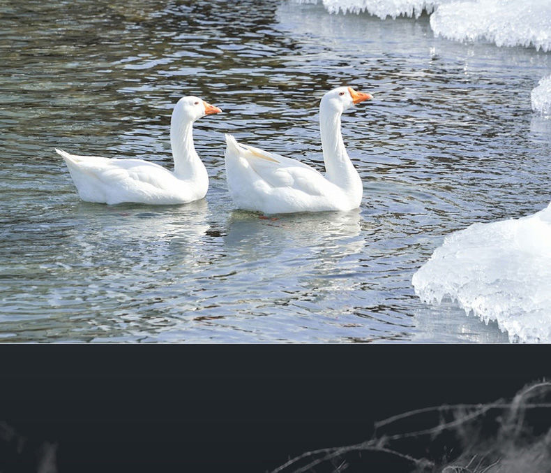 d70fe29b-b836-4fe3-a7ee-53d963941aec.jpe