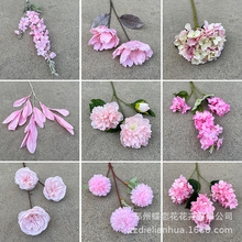 ɫ滨lõĵٻֹc滨Y廨·