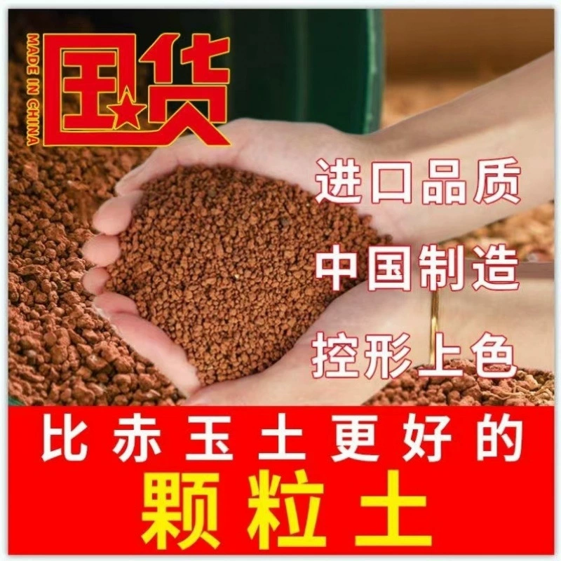 Красная нефритовая почва с тремя линиями бонсай с твердым мясом