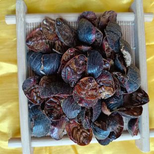 ��Ԫ���M�x��ݽ�x���M��ș���M�x��؛���l��ˮ؛���Ă�ș�I��