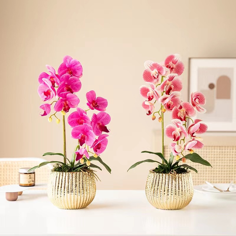 微信图片_202205151424482