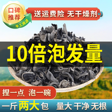 木耳500g新货2023年冬软糯厚无根肉厚10倍泡发秦岭干货椴木黑木耳