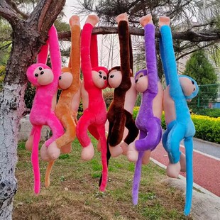 ���l���^����@���е��߲��L�ۺ��ӹ��В촰������ë�q��߲�����