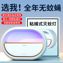 灭蚊灯商用灭蝇灯灭蚊器壁挂粘捕式蝇灯家用室内静音驱蚊神器批发