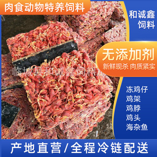 �������B����������С�u����������{�~���