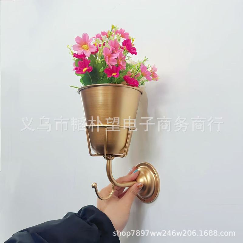 跨境新品Opal Wall Vessel挂钩花盆架一体金属创意壁挂家居装饰品|undefined