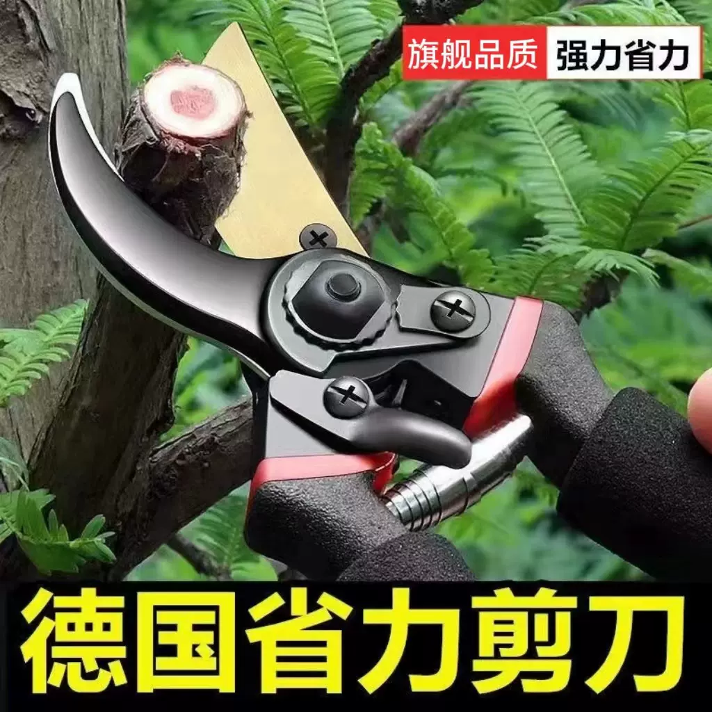 定制剪粗枝修枝剪sk5园林园艺剪刀盆景花艺剪刀大号果树修剪枝剪