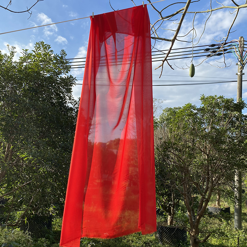 Cortina de estilo chino clásico, diseño de caligrafía y paisaje, ideal para interiores o fondos decorativos