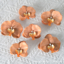 仿真3D打印胶片蝴蝶兰花头手工蝴蝶兰花朵婚庆伴手礼花瓣发夹装饰