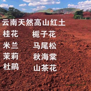 ��ϸ�ԭ����С�w���t���軨��������ľ���N���Ի��ܠI�B��ֲ��