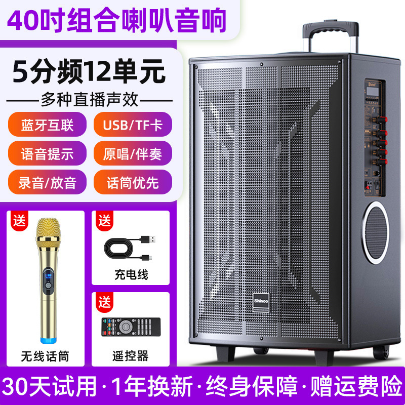 n29 スクエアダンスオーディオ屋外カラオケ 2024 新しい大音量ポータブルモバイルトロリー Bluetooth スピーカー木製|undefined