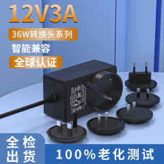 12V3A変換アダプターUL/CEパン焼き機ダニ除去器24V1A交換可能なプラグUL認定電源