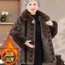 bƤꋌƤӺˮӽq·̫̫ױů