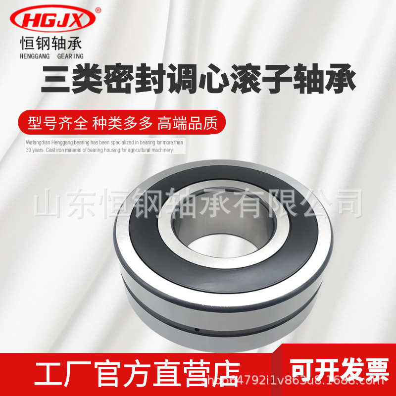 双列调心滚子轴承 BS2-2213-2CS-2RS 尺寸 65*120*38加高加厚轴承