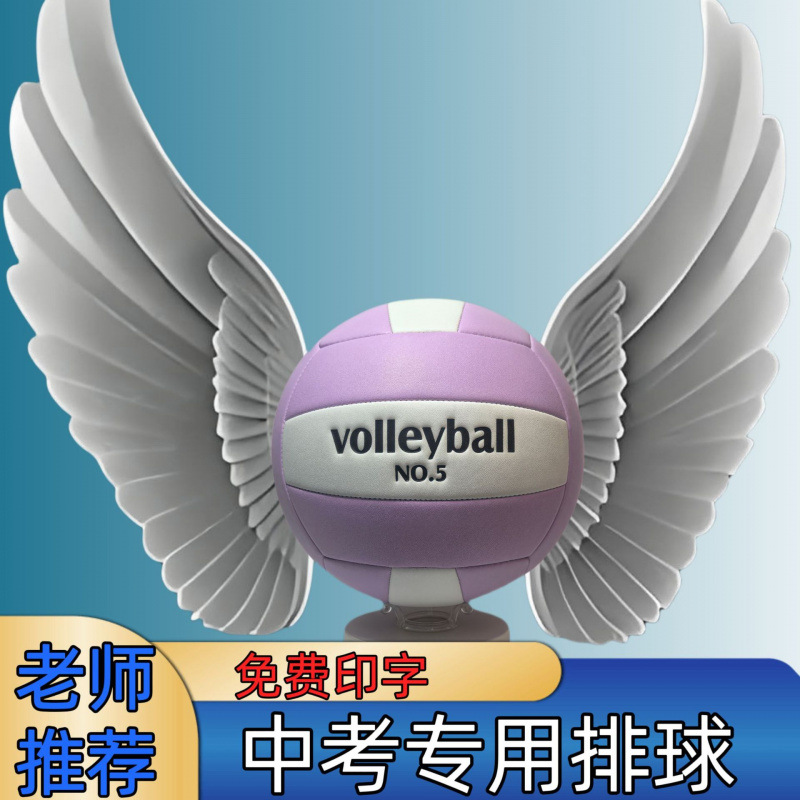 Volleyball for Junior High School Students Special Soft Volleyball Competition Inflatable Volleyball No. 4 Special Soft Volleyball for Primary School Students No. 5