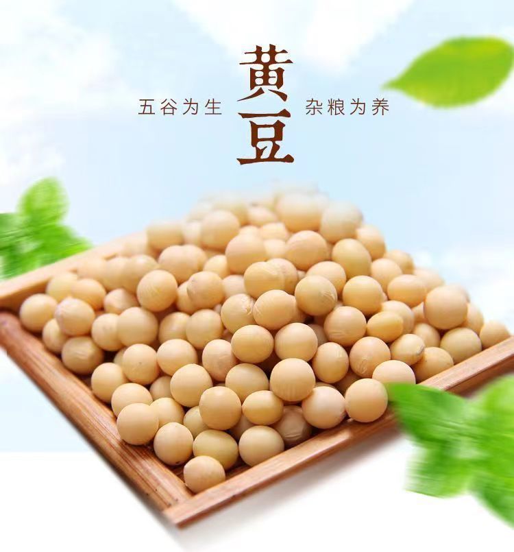 39990ef6-b1cb-49a6-b597-7f3c9649b582.jpe