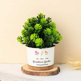ETSY独立站POD花盆双面来图定制陶瓷盆栽桌摆礼物竹托盘一件定制