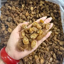 1000头大连鲍鱼干产地厂家直批小干鲍鱼酒店佛跳墙小鲍鱼干500g