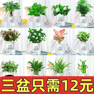 �҃Ȼ����k���ҾGֲ����ˮ����B�k�����͏dС�����_���G�}������