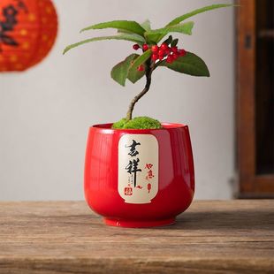 ���⻨���մ��Ї��Lף���~�p�ݼtɫС�脓�₀��͸�⺆�s�����b�