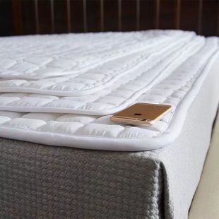 Hotel Winter Special Protective Pad Mattress Mattress 1.8m Bed B&B Thickeneded Pure Cotton