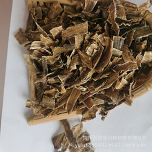 ���l�F؛����Ƭ �V��������ă������ ȫ�_��������؛