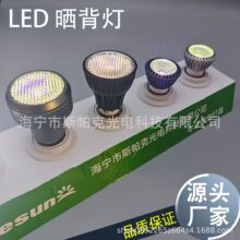 乌龟灯 UVB灯全光谱太阳灯架爬宠照明龟缸补钙晒背灯uva灯泡射灯