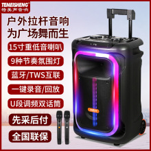 特美声户外广场舞拉杆音响 节奏灯光TWS互联 家用录音K歌蓝牙音箱