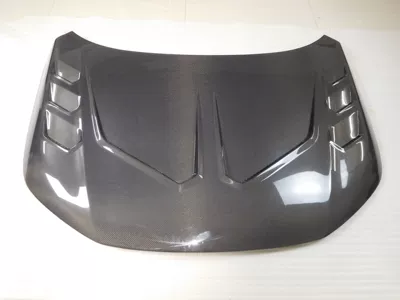Spoiler | manufacturers supply - 22-civic-th-model-cover