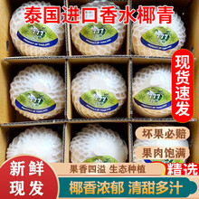 泰国香水椰青新鲜椰子一整箱去皮孕妇奶香椰宝特大果现货包邮