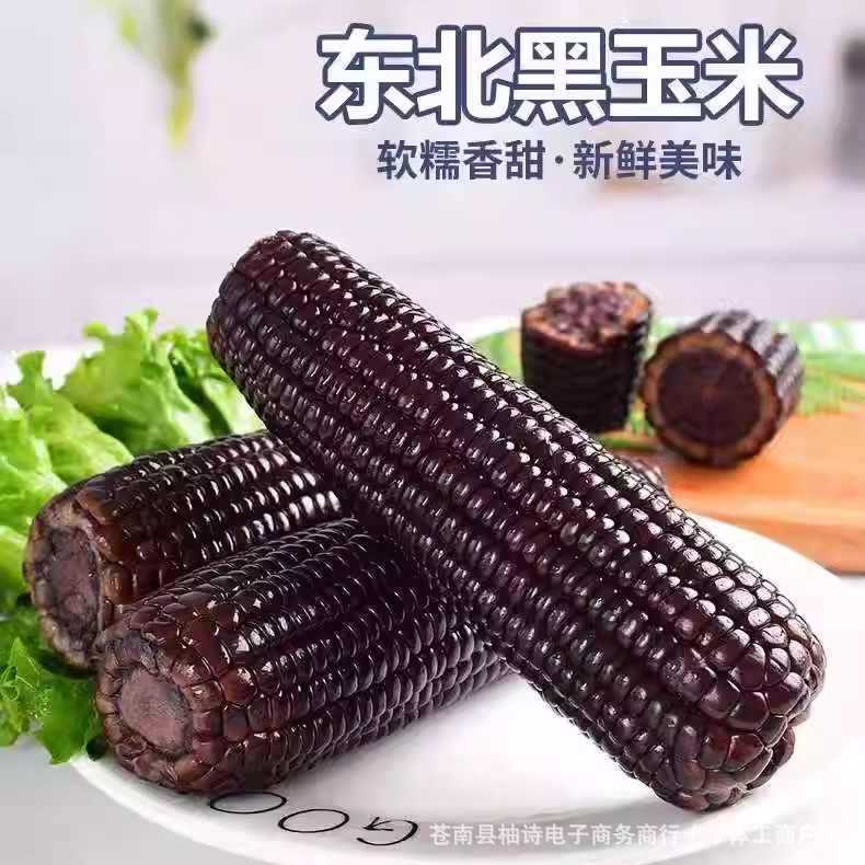 东北黑糯玉米10根新鲜甜糯苞米黑玉米早餐真空包装即食黏玉米包邮|undefined