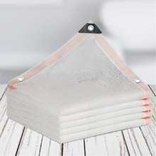 ɫꖾWWֲꎾWͥԺӺܻ߲˸