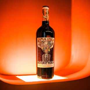 �������ݮa�^ԭƿԭ�b�M�ڼt�Ƴ�ϼ��ɼt2020�ꂀ�ԾƘ˸ߙn�߼�