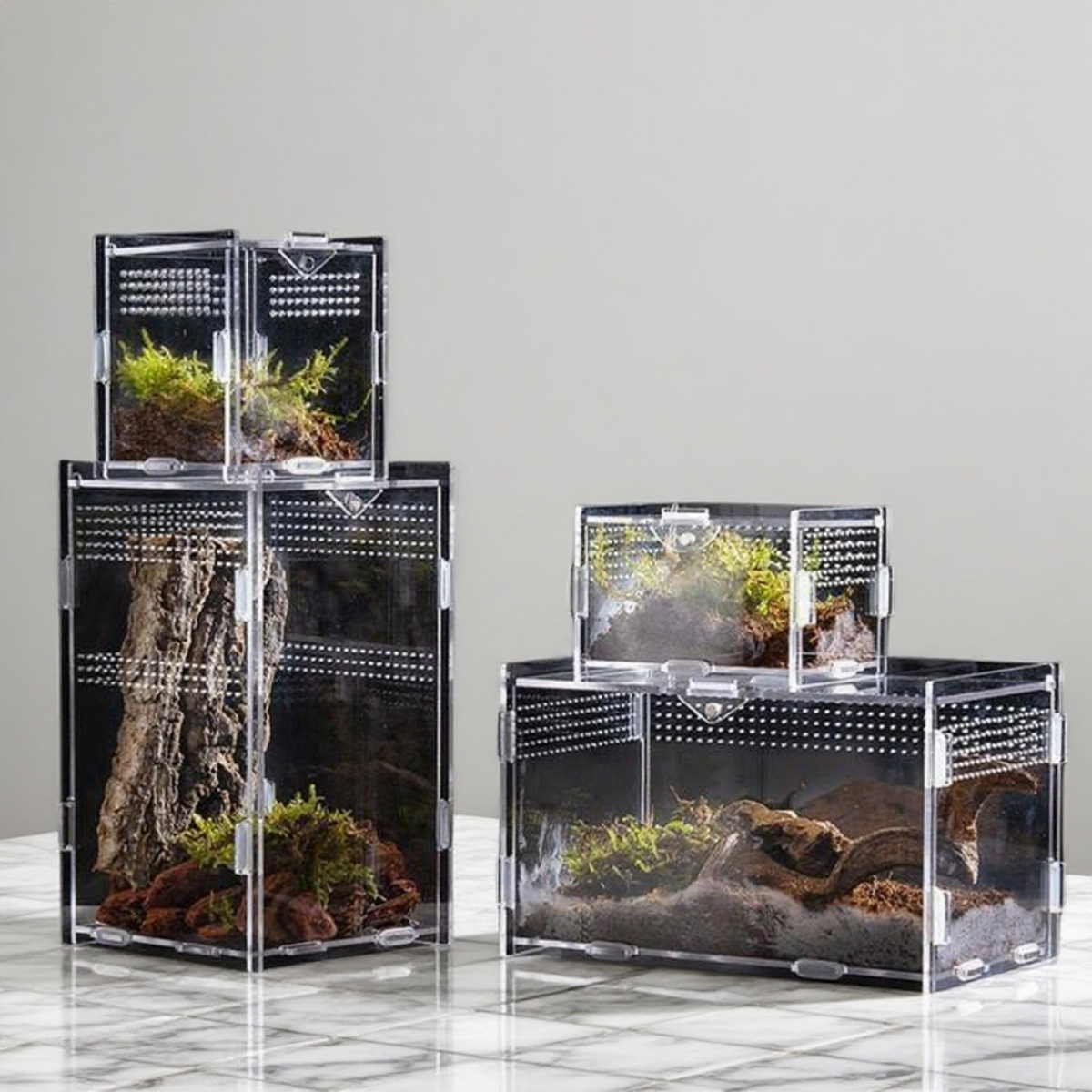 Acrylic Breeding Box Small Reptile Habitat Spider Lizard Mantis Rainforest Landscaping High Transparency Viewing Box