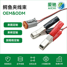 50A�{�~�A�D���YDT06-2S�������Ƹ߹����O���R�r�Ӿ�늳؊A����