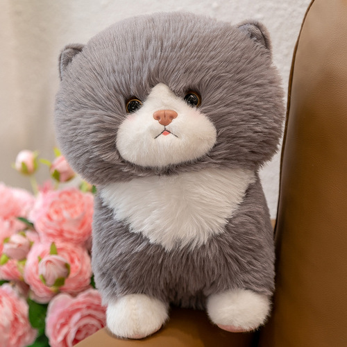 Cute simulation cat doll doll kitten budo plush toy scratch machine doll girl pillow gift wholesale