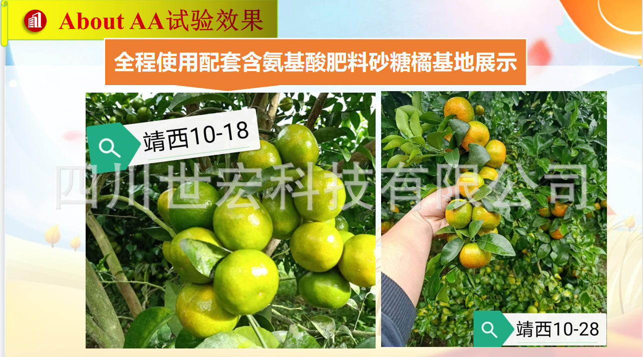 截图20220617200542