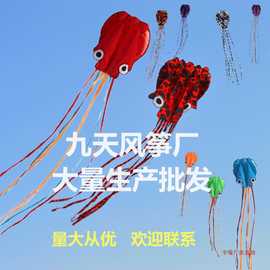 潍坊风筝厂家直供批发米米花斑无骨软体立体八爪章鱼风筝