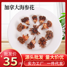 ���ô󺣅������ɺ�������u�t�O�����������l���b�I�B���r