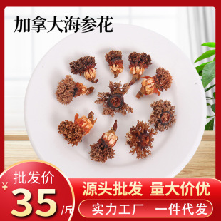 ���ô󺣅������ɺ�������u�t�O�����������l���b�I�B���r