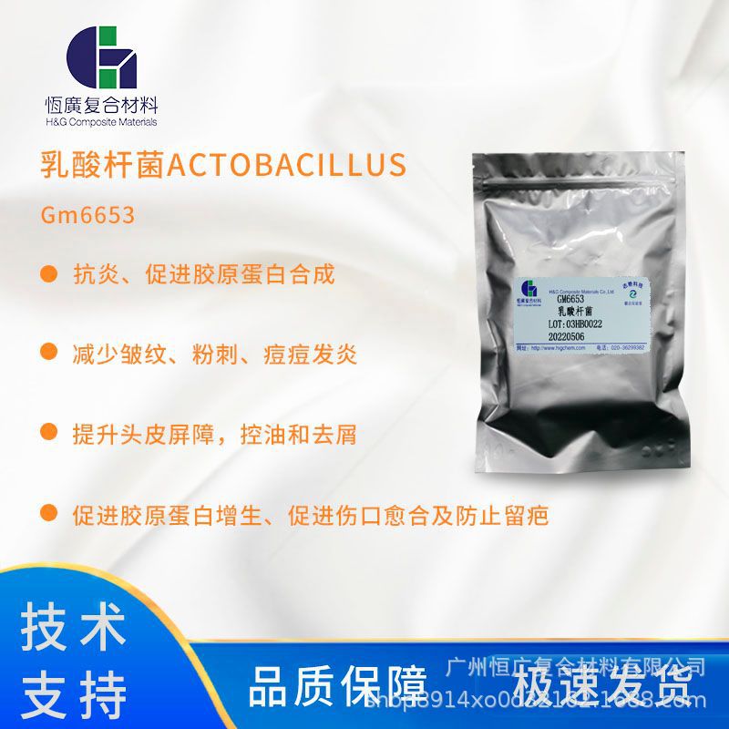 益生菌GM6653  维护皮肤微生态平衡 促进胶原蛋白合成 控油和去屑