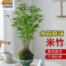 ����̦�\��ˮ��ֲ�������҃Ȼ��͏d�k�������ļ��������ӑ����辰