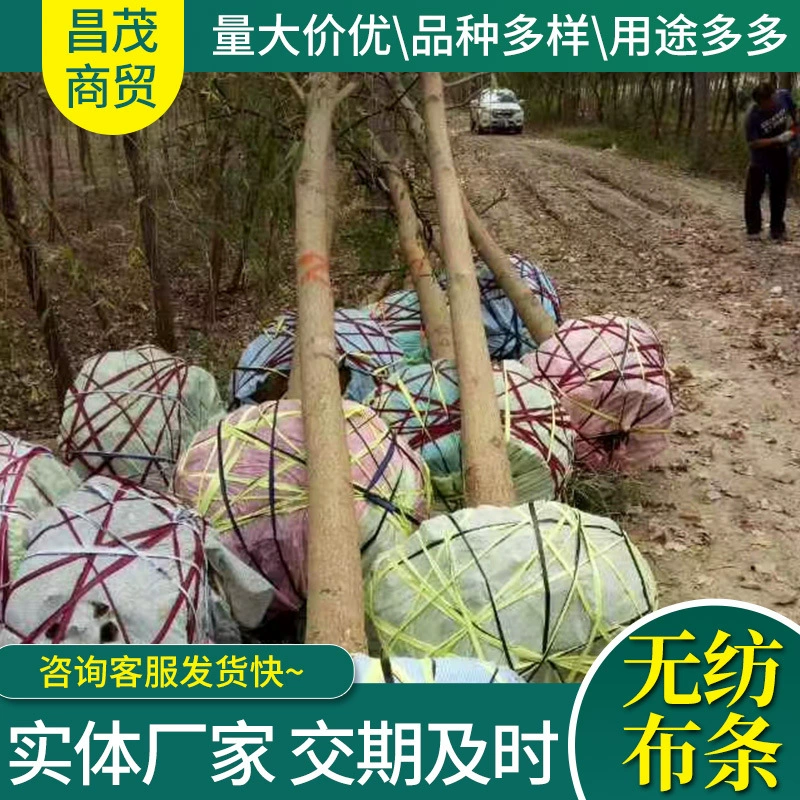 Фруктовое дерево тянет веревку и связывает веревку