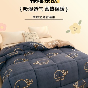 Quilt Quilt Core Spring and Autumn Quilt Thickened Warm Children's Quilt Four Seasons Universal Winter Quilt Student Dormitory Single Quilt Winter