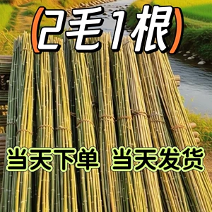 [竹竿菜园搭架竹子户外旗杆黄瓜豆角爬藤菜架子竹杆支架豇豆搭架杆]