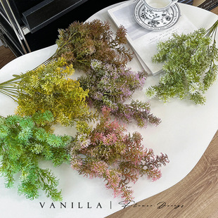 9��������Ͻqë�з���Gֲ���R��ѩ��ë�qˮ�ݷ��滨�b�DIY����