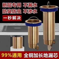 全铜加长地漏防臭器卫生间下水道延长管断层修复专用防返臭内芯