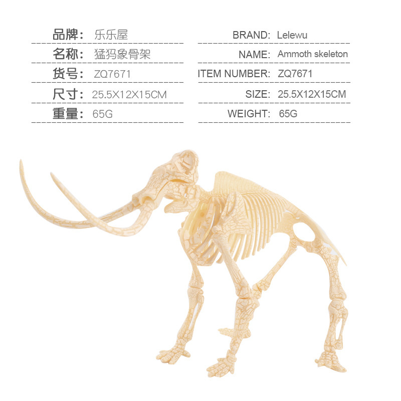 Transfronterizos de venta caliente simulación sólida modelo de cráneo de dinosaurio estático T. rex Velociraptor esqueleto arqueológico juguetes para niños