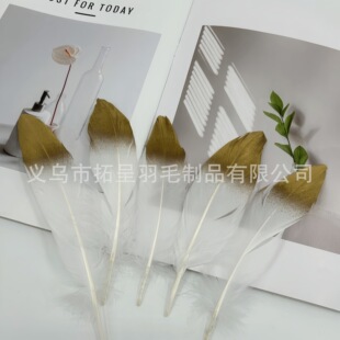 �Zë���h15-20��ɫ��ë����ɫ��ë�羳�����S�ҬF؛���l�yɫdiy